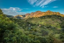 Semana do Meio Ambiente - MEIO AMBIENTE 2