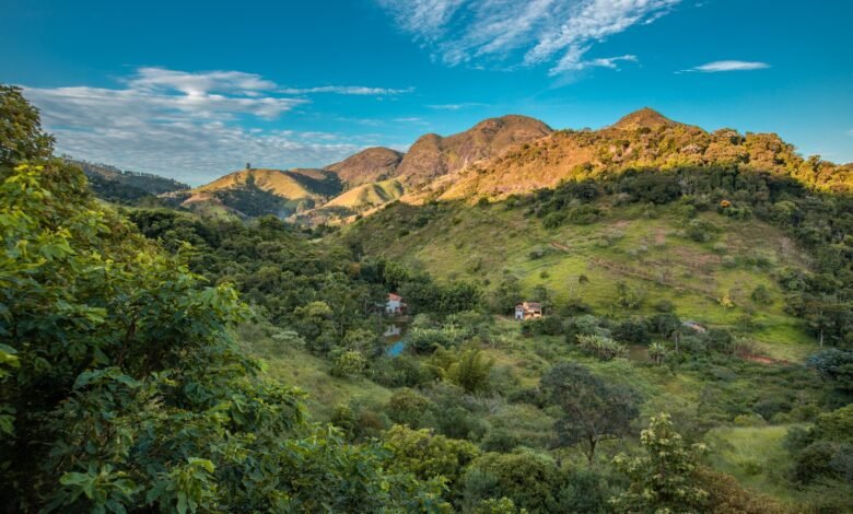 Semana do Meio Ambiente - MEIO AMBIENTE 2