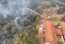 Cenibra-2025_IncendiosFlorestaisCNB.jpg