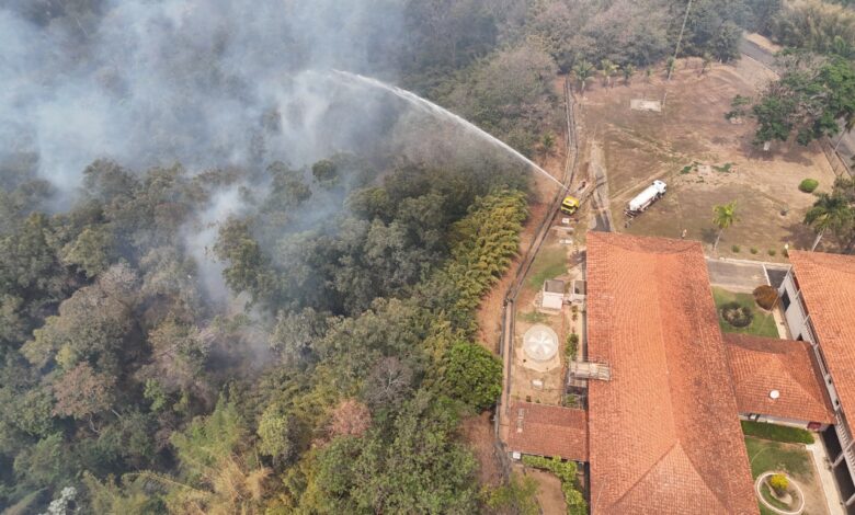 Cenibra-2025_IncendiosFlorestaisCNB.jpg
